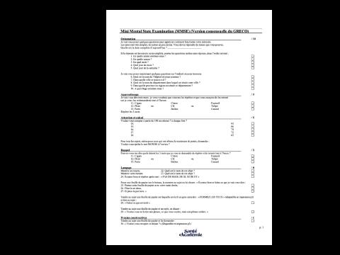 Mini Mental State Examination (MMSE)